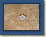 Welschensteinach 2006 045 * 1600 x 1200 * (689KB)